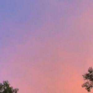 Meet your Posher, Reese